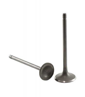 Клапаны (компл) 4T 165FMM,163FML(d=27/31,5) (l=89,5/91,5)