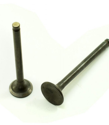 Клапаны (компл. 2шт) 4T 139QMB стандартные d=16/18,5 CN