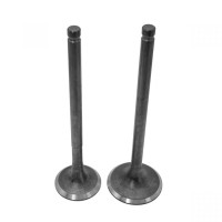 Клапаны (компл. 2шт) 4T 157QMJ 150сс стандартные d=24/28 
