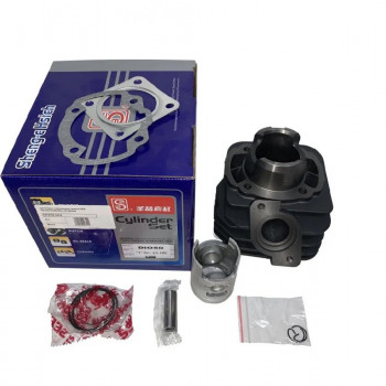 ЦПГ Sheng-E Honda AF-18/27 d-44 65сс TW