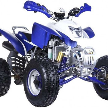 Квадроцикл Irbis ATV250S