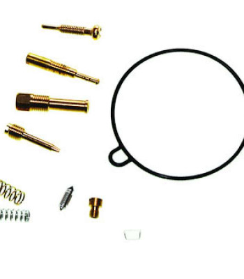 Ремкомплект карбюратора DELTA JH-90 CN